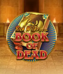 Embark on the thrilling world of Book of Dead by Play'n GO, featuring vivid graphics of Rich Wilde's journey through ancient Egyptian tombs and artifacts. Find lost riches with captivating mechanics like free spins, expanding icons, and a gamble option. Ideal for adventure enthusiasts with a desire for thrilling discoveries.